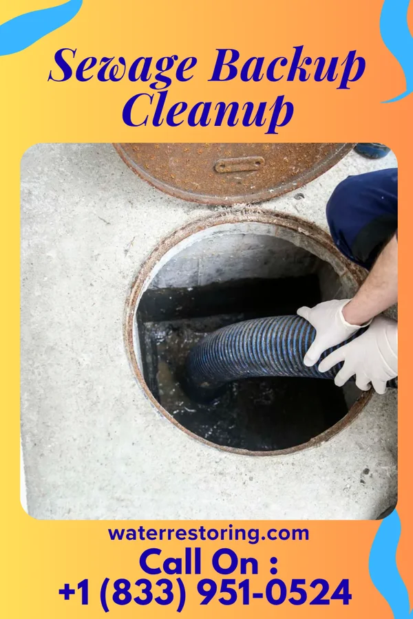 Sewage Backup Cleanup in Greenfield, IA